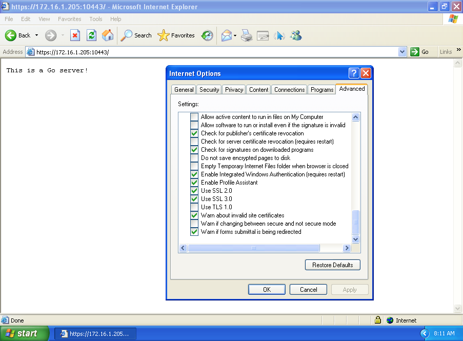 Windows XP with IE 6, in SSLv2+SSLv3 connected to my Go instance