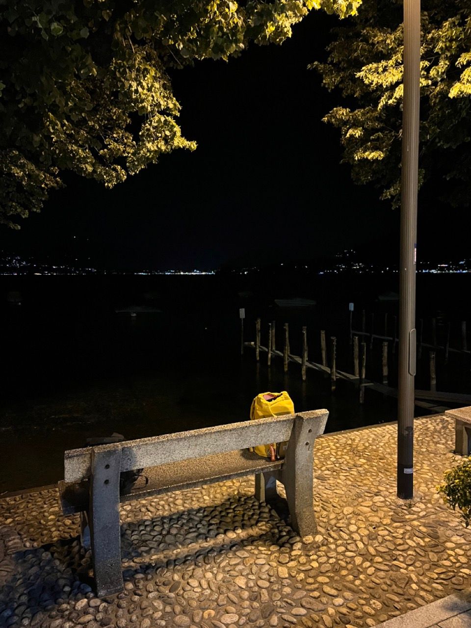 A picture of the side of a lake at night. In the foreground, a cement bench seen from behind with a yellow backpack on it, next to a tree that frames the picture at the top. Beyond it, a small pier with wooden poles stretches into the pitch balck water. In the distance the lights of a town on the other side of the lake.