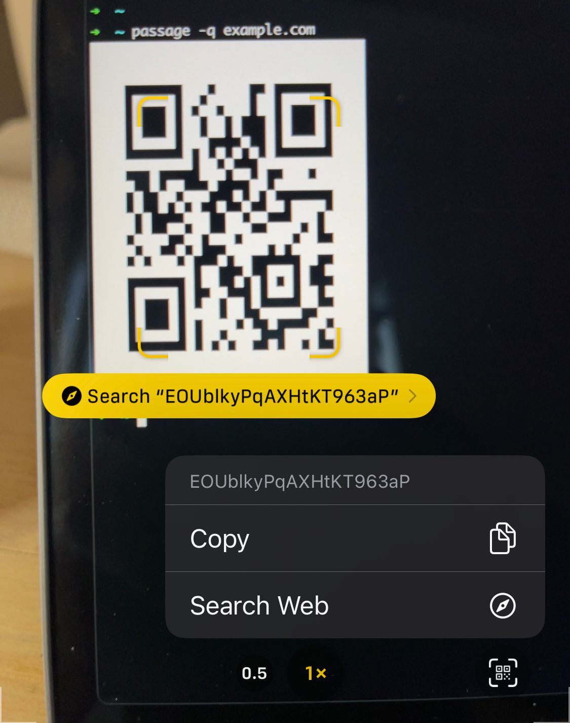 A screenshot of the iOS camera app scanning a QR code generated by passage