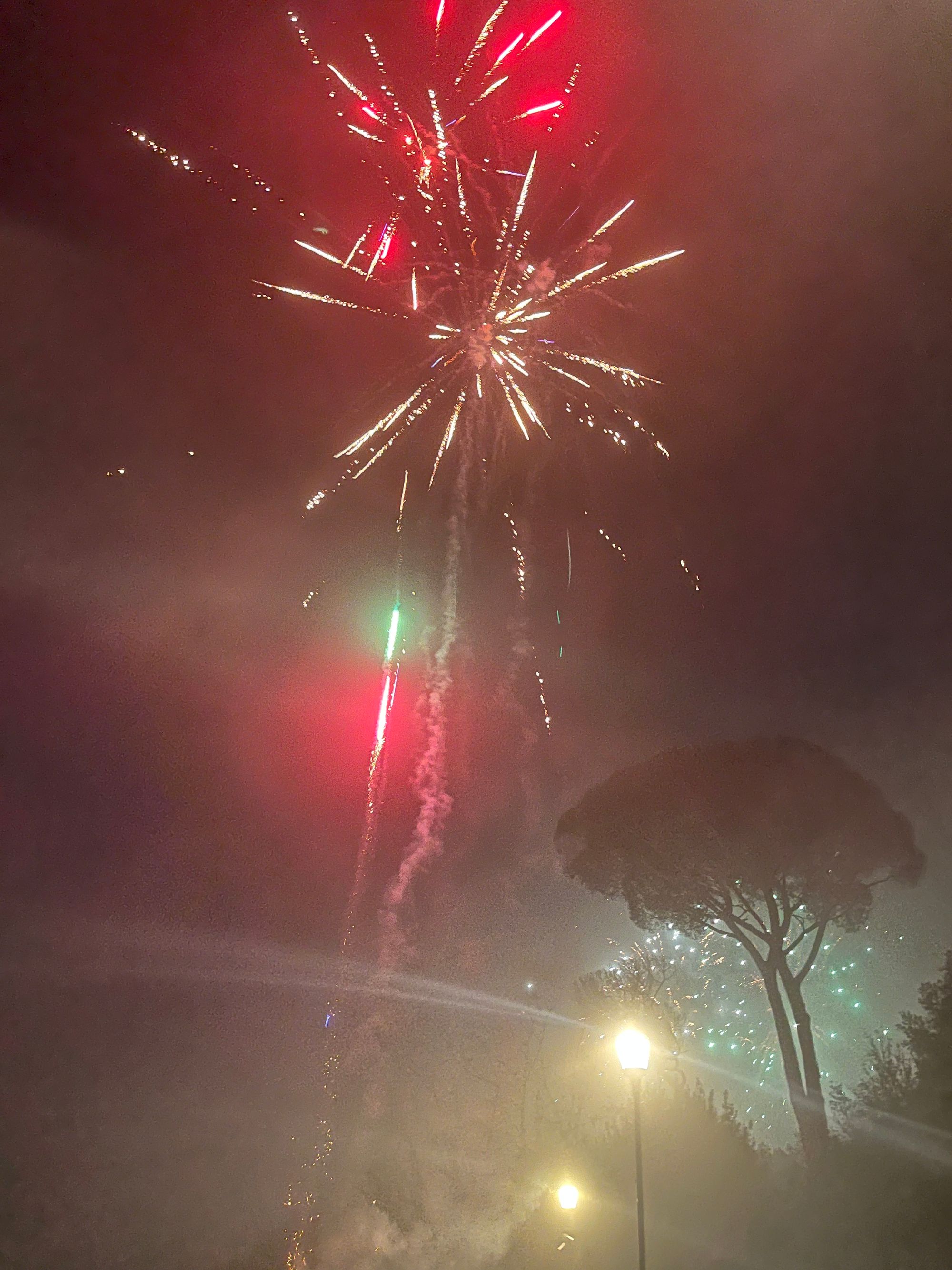 Fireworks exploding low in the sky, against a smoky background, with a tree barely visible in the mist.