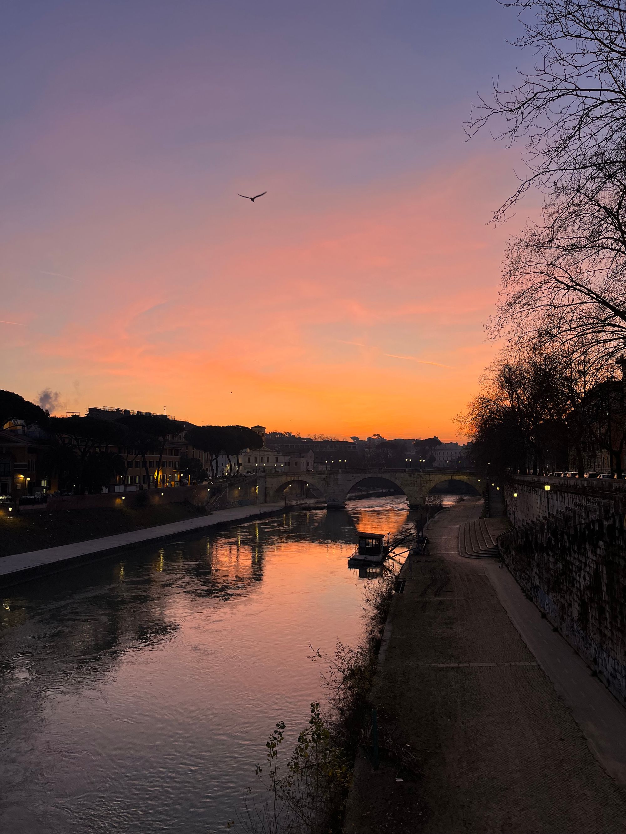 A river in the center of the frame, leading to a bridge. The sky is pink and orange and is reflecting off the water. A seagull silhouette in the sky.