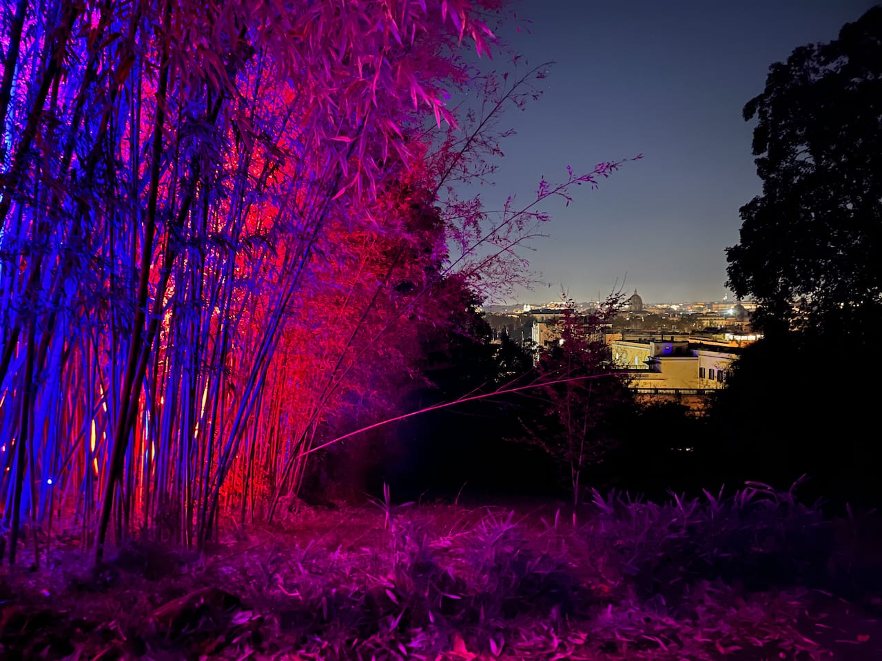 On the left, a bamboo forest is lit in blue and red lights. On the right, the dark outline of some trees frames the city skyline lit in contrasting soft yellow lights. In the middle, the Dome of St. Peter's raises above the horizon.